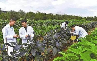理性看待農(nóng)業(yè)投資熱 警惕“熱投資、冷農(nóng)民”現(xiàn)象