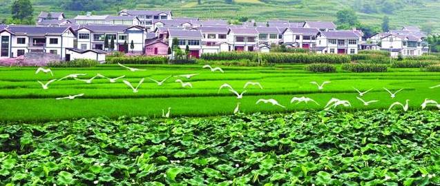 農(nóng)村創(chuàng)業(yè)新利器 5大投資小、收益高的農(nóng)業(yè)項(xiàng)目