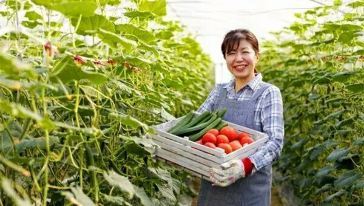 探秘九豐現(xiàn)代農(nóng)業(yè)博覽園 農(nóng)業(yè)投資的未來(lái)之窗